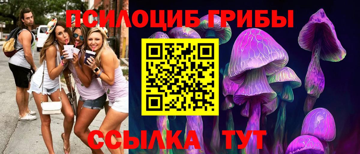 Галлюциногенные грибы Cubensis Азов