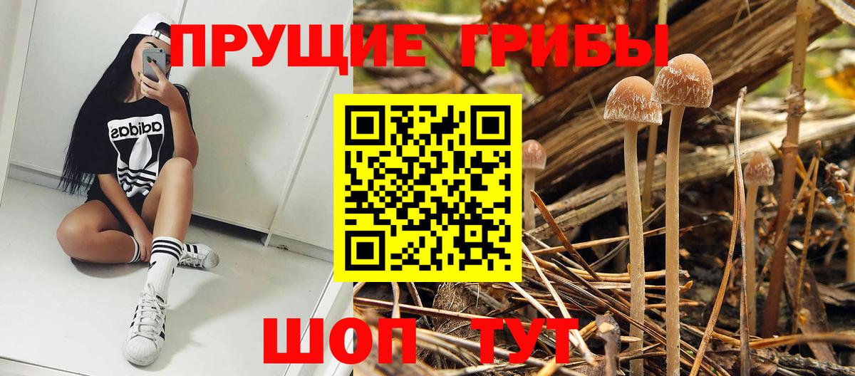 Псилоцибиновые грибы Psilocybine cubensis  хочу   Азов  Вход с VPN  Галлюциногенные грибы ЛСД 